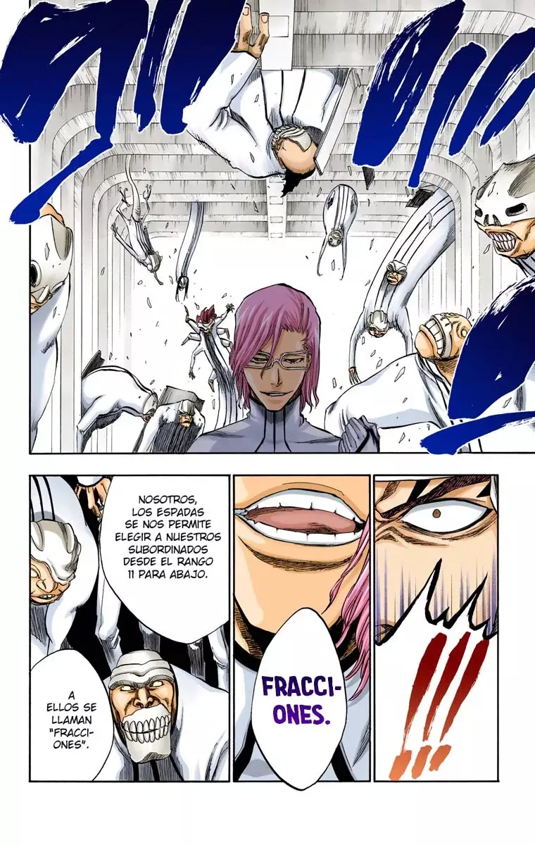 Bleach (Color) capítulo 272, página 13