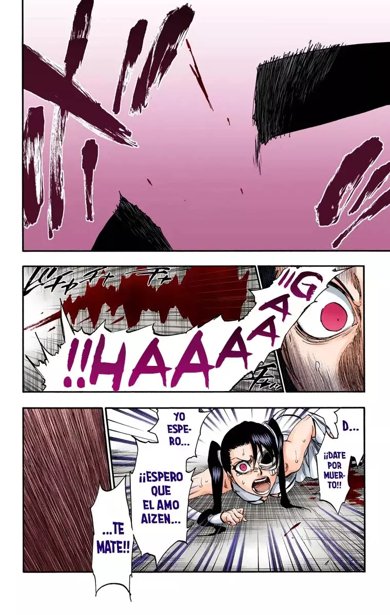 Bleach (Color) capítulo 273, página 9