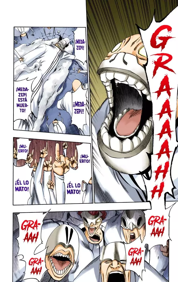 Bleach (Color) capítulo 273, página 13