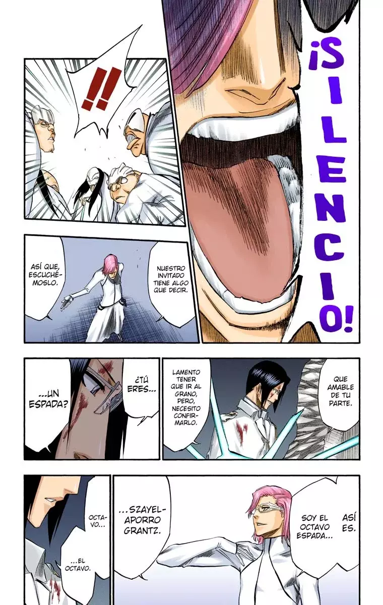 Bleach (Color) capítulo 273, página 16