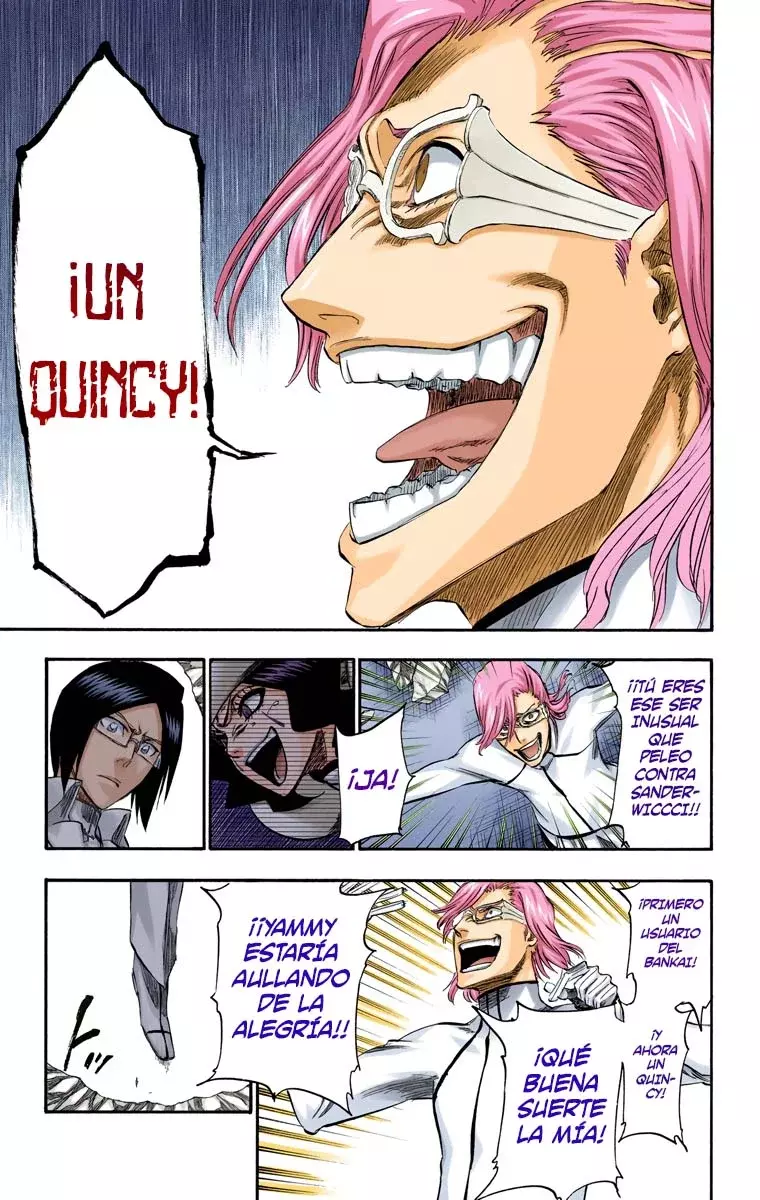 Bleach (Color) capítulo 273, página 18