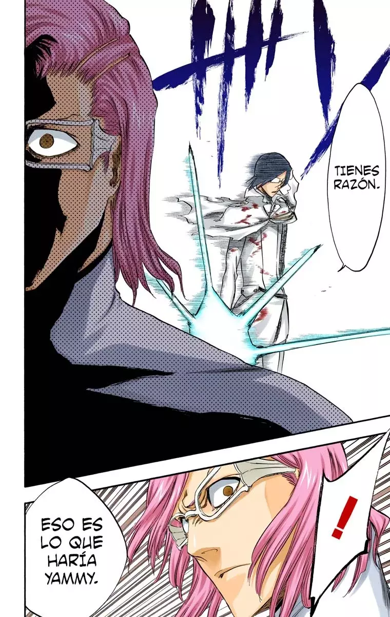 Bleach (Color) capítulo 273, página 19