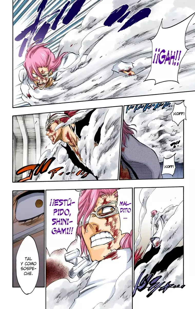 Bleach (Color) capítulo 275, página 17