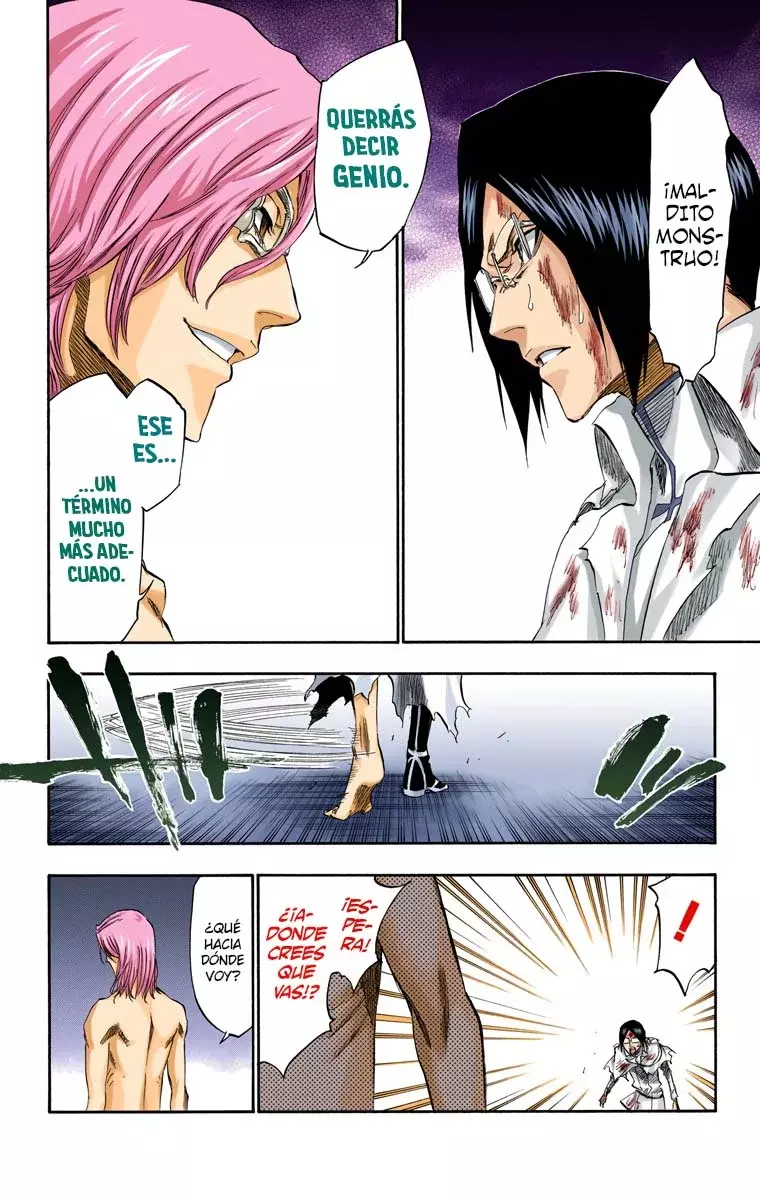 Bleach (Color) capítulo 276, página 13