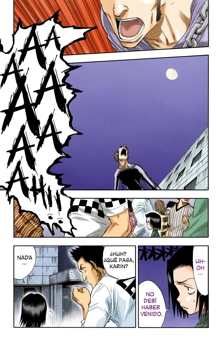 Bleach (Color) capítulo 28, página 8