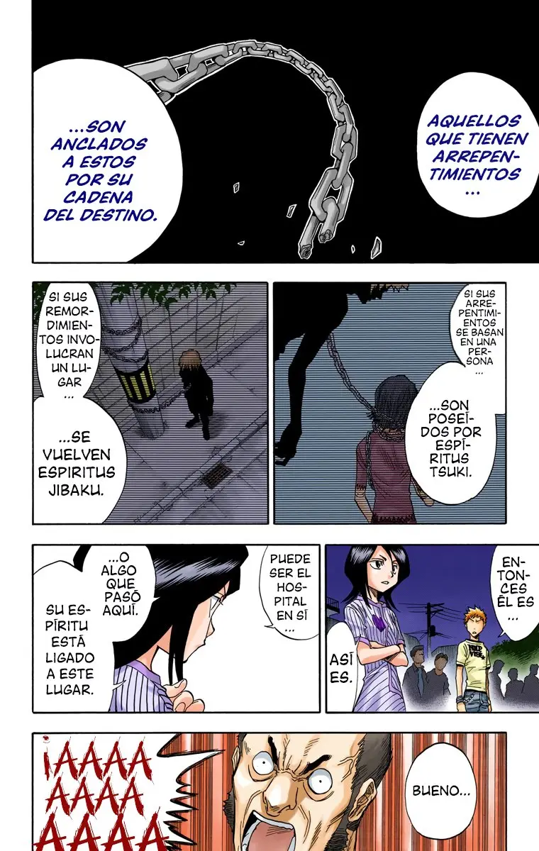 Bleach (Color) capítulo 28, página 13