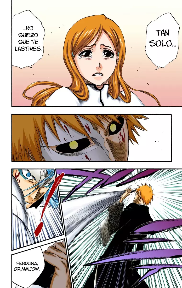 Bleach (Color) capítulo 283, página 18