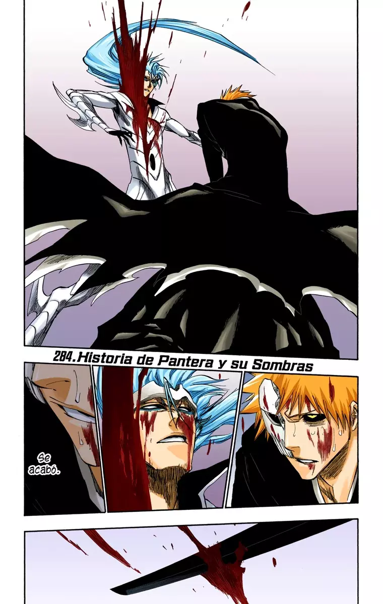 Bleach (Color) capítulo 284, página 2