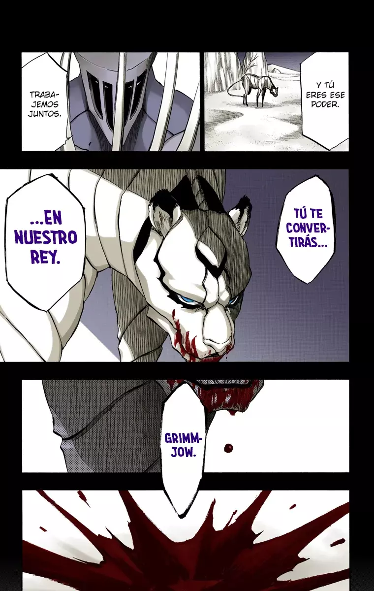Bleach (Color) capítulo 284, página 12