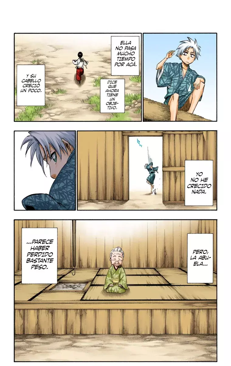 Bleach (Color) capítulo 286.5, página 11