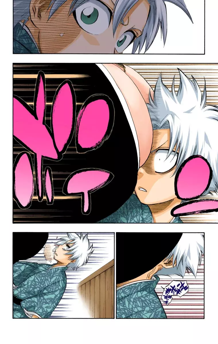 Bleach (Color) capítulo 286.5, página 13
