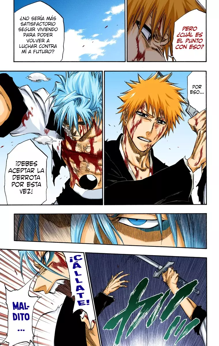 Bleach (Color) capítulo 286, página 17