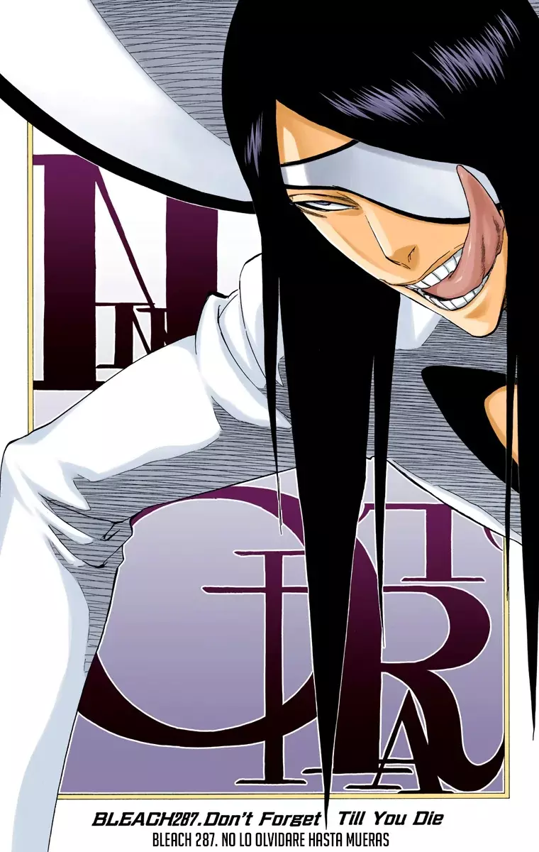 Bleach (Color) capítulo 287, página 13
