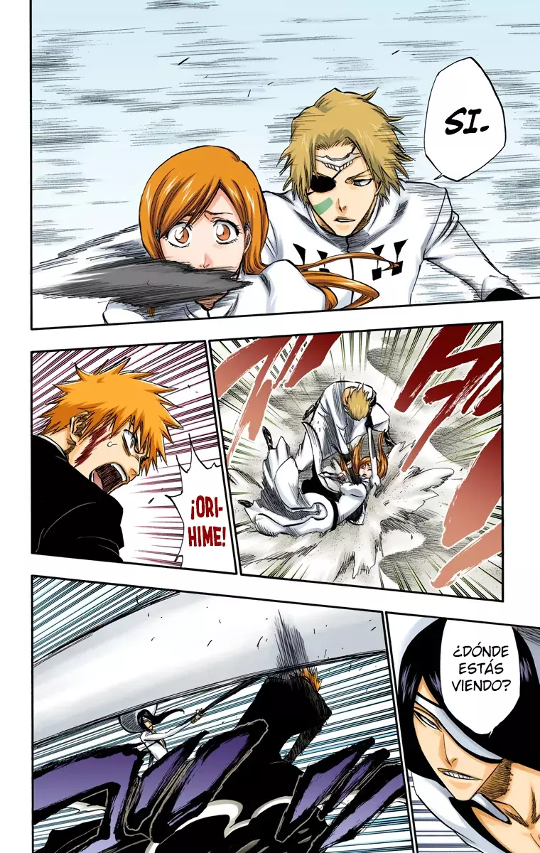 Bleach (Color) capítulo 287, página 17
