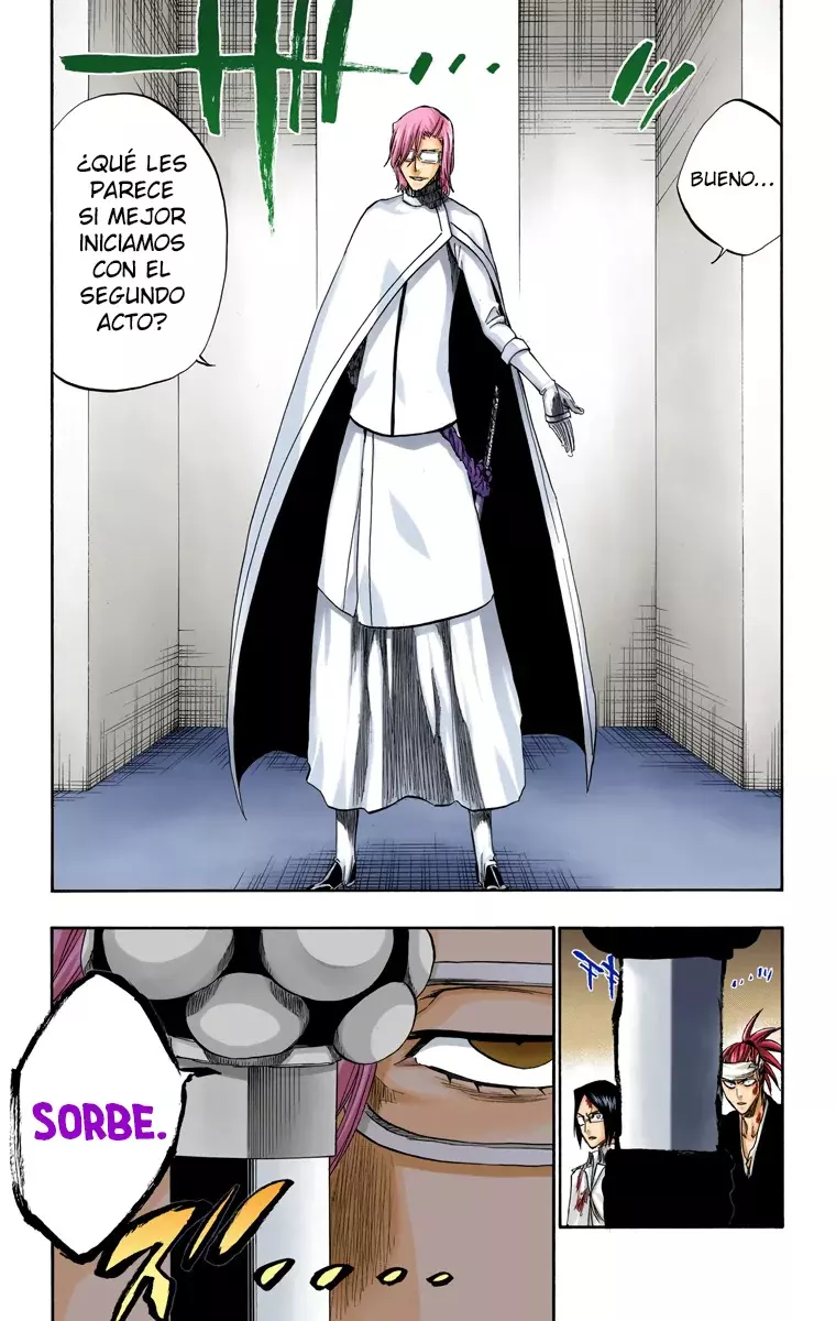 Bleach (Color) capítulo 287, página 22