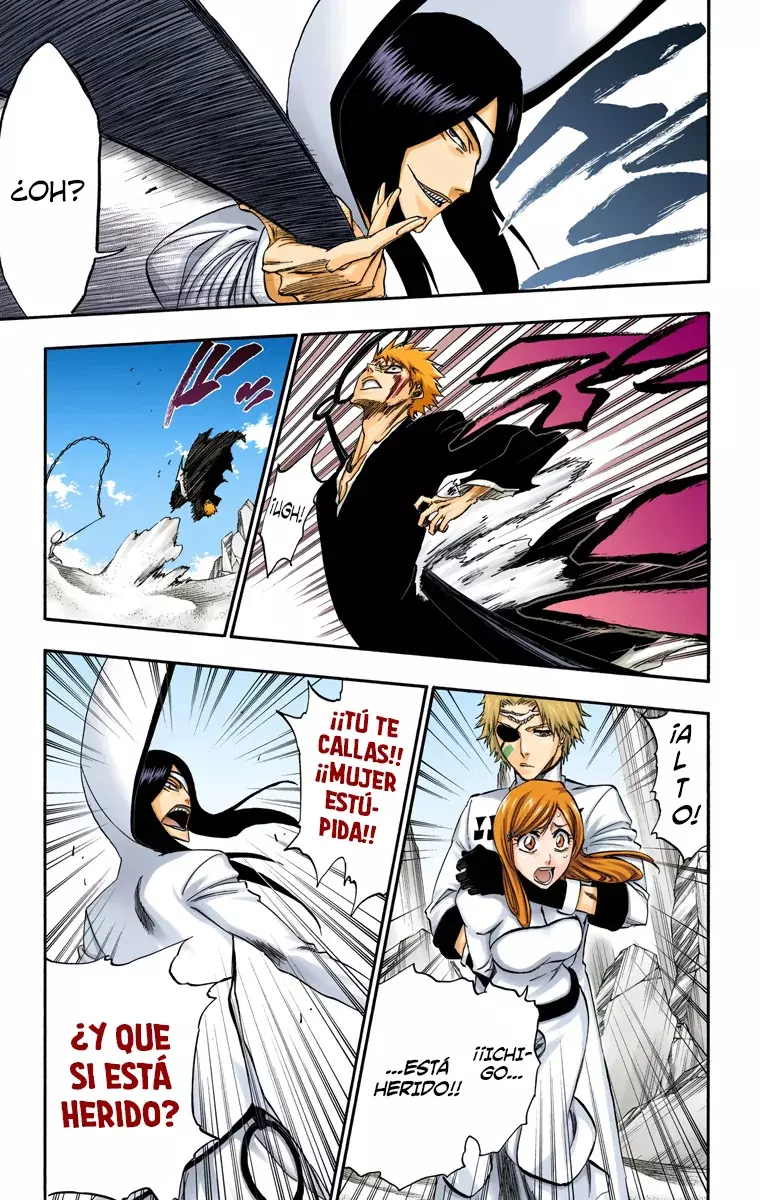 Bleach (Color) capítulo 288, página 17