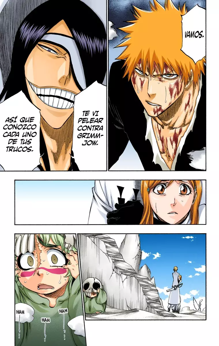Bleach (Color) capítulo 288, página 19