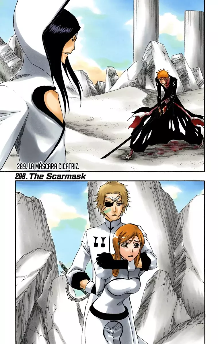 Bleach (Color) capítulo 289, página 2