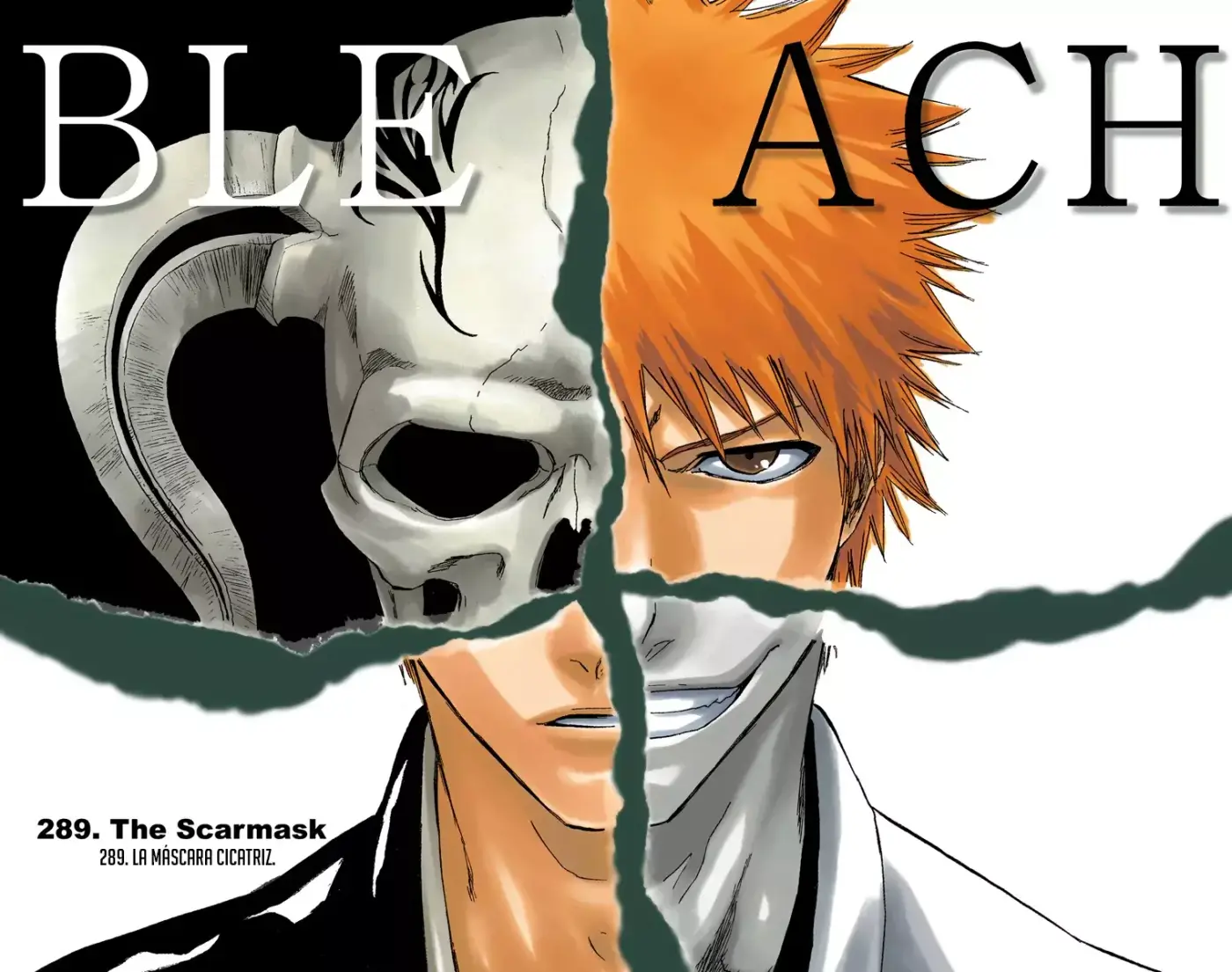 Bleach (Color) capítulo 289, página 3