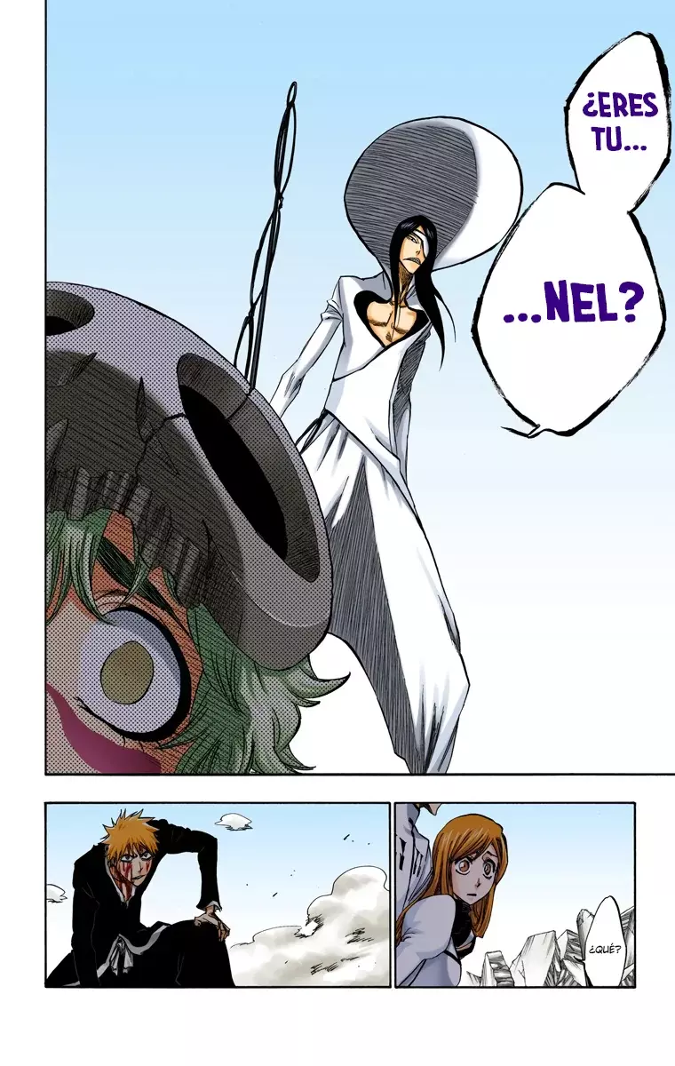 Bleach (Color) capítulo 289, página 14