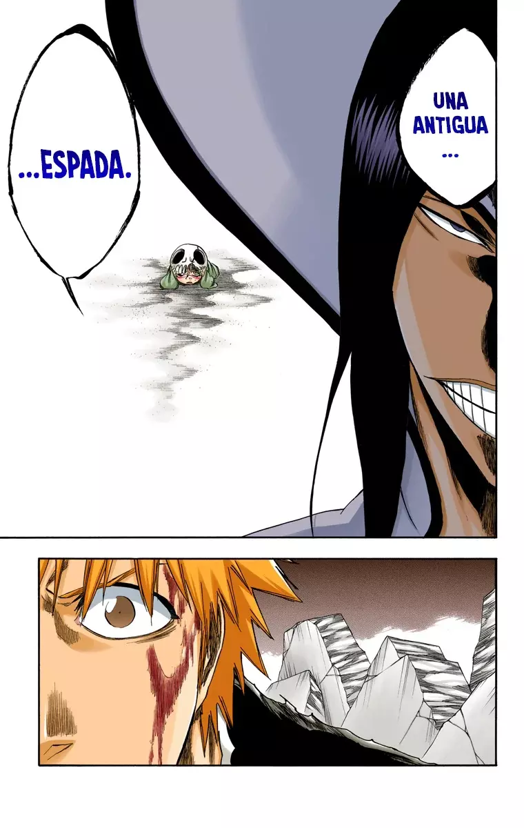 Bleach (Color) capítulo 289, página 21