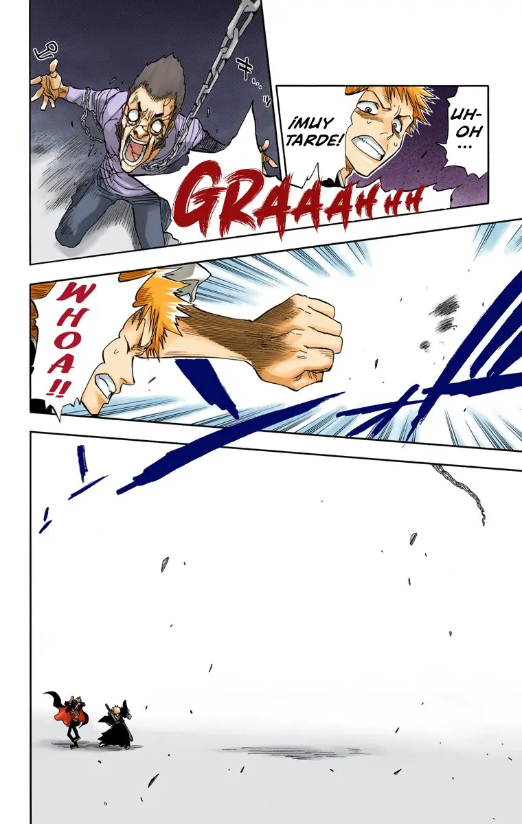 Bleach (Color) capítulo 29, página 19