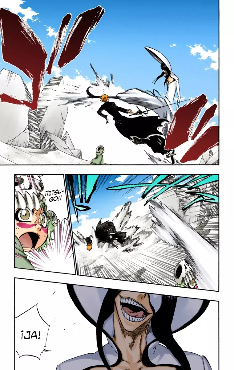 Bleach (Color) capítulo 290, página 8
