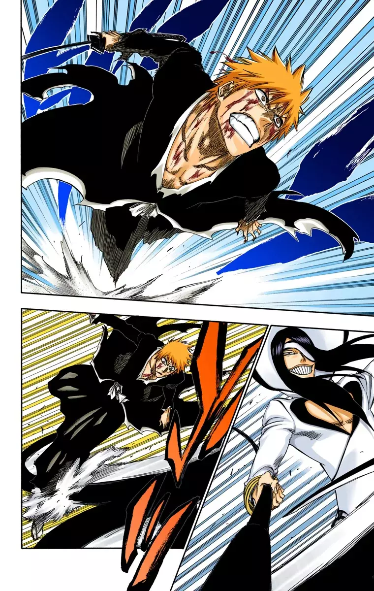 Bleach (Color) capítulo 290, página 11