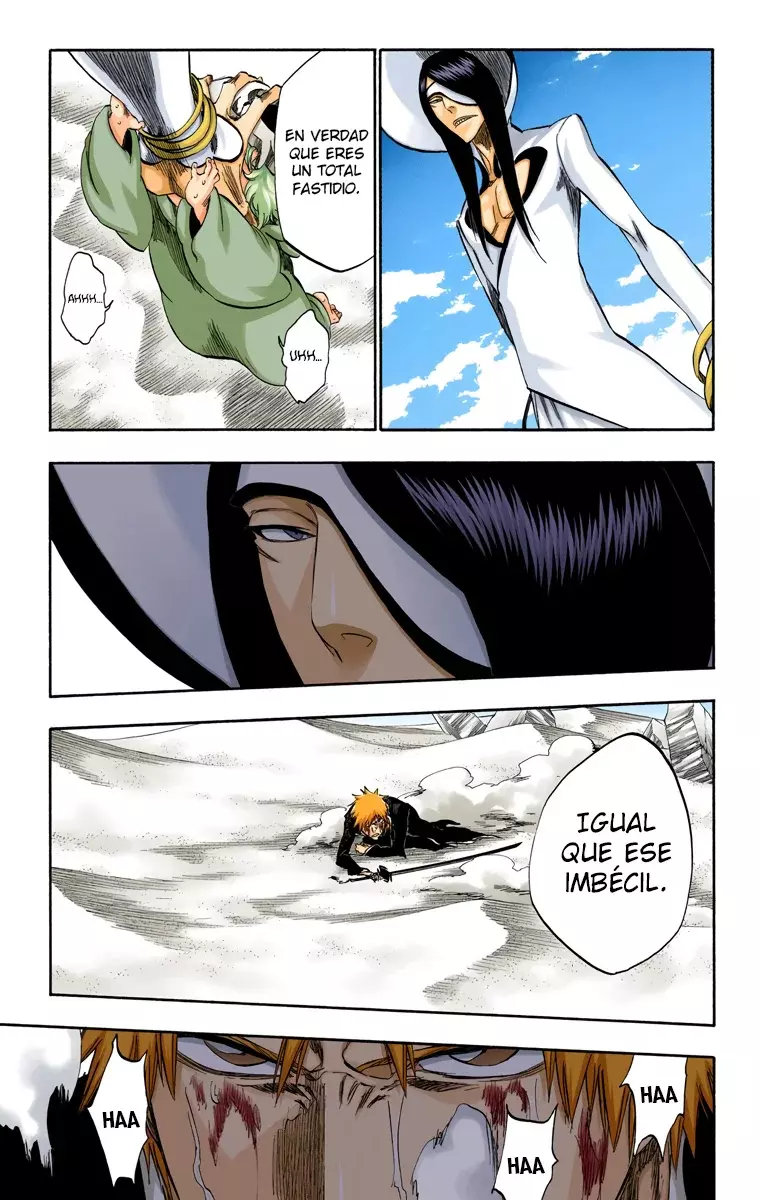 Bleach (Color) capítulo 290, página 14