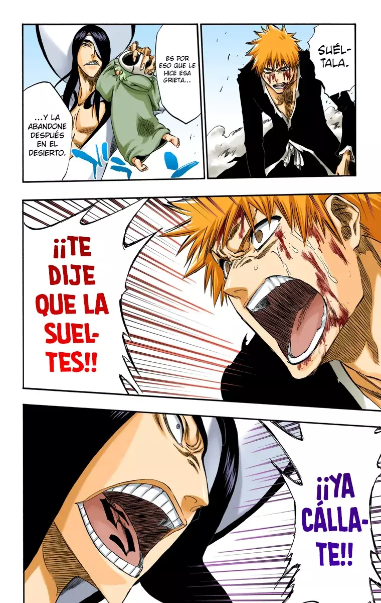 Bleach (Color) capítulo 290, página 15