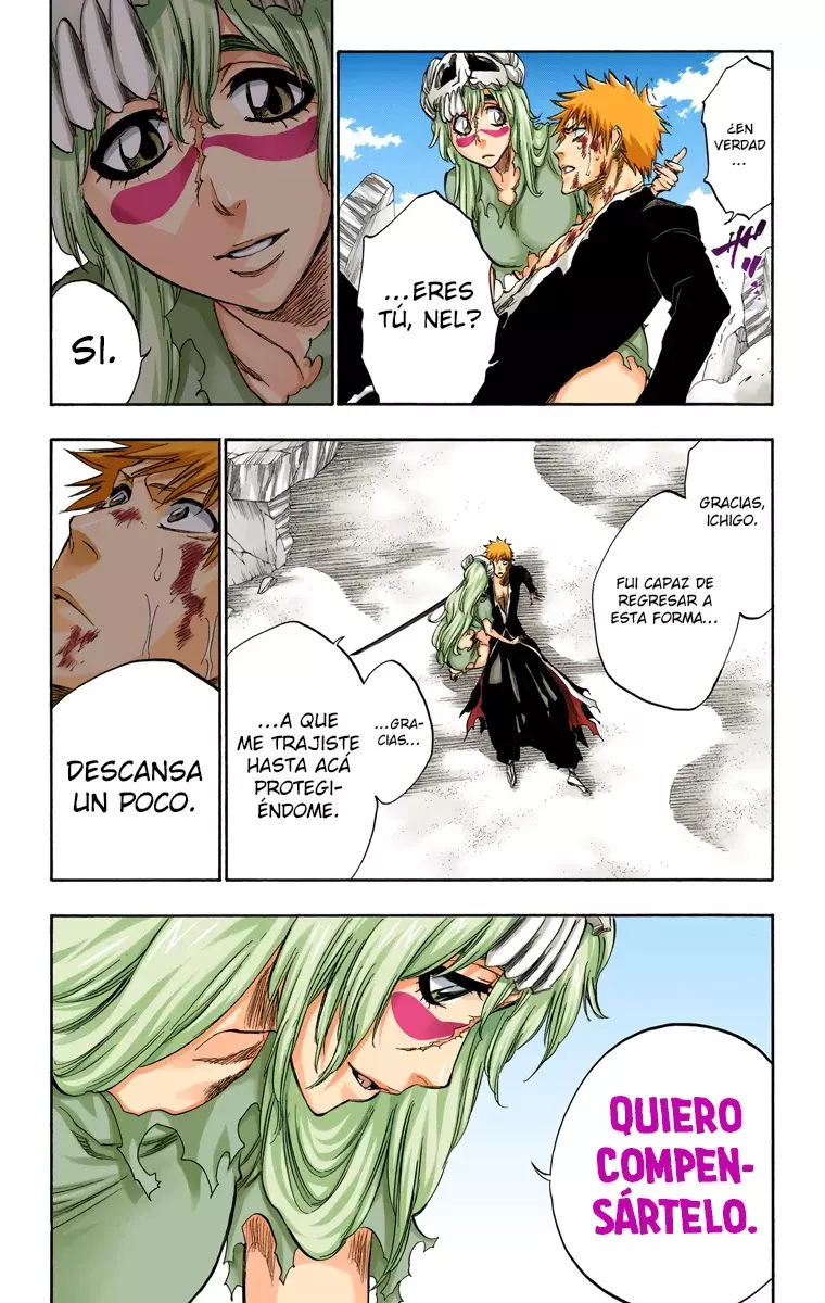 Bleach (Color) capítulo 291, página 10