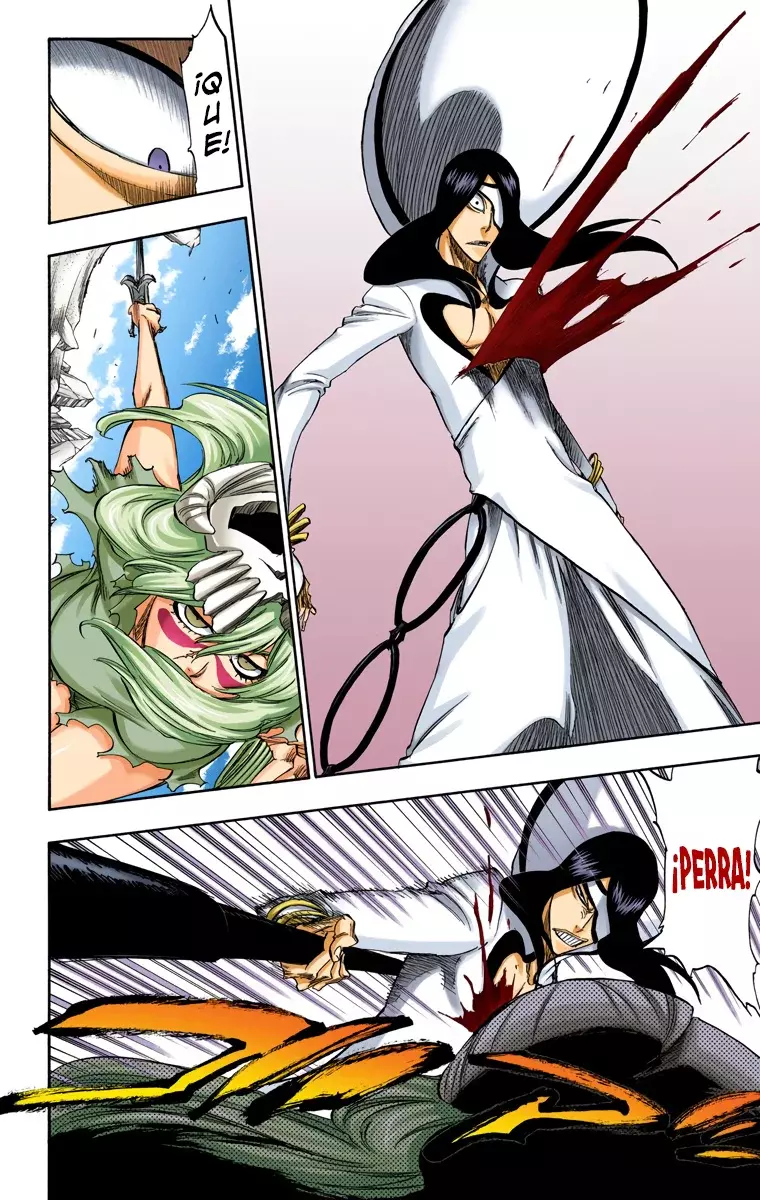 Bleach (Color) capítulo 291, página 14