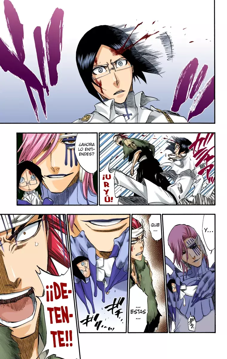 Bleach (Color) capítulo 293, página 14