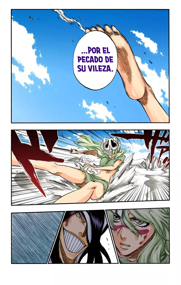 Bleach (Color) capítulo 293, página 20
