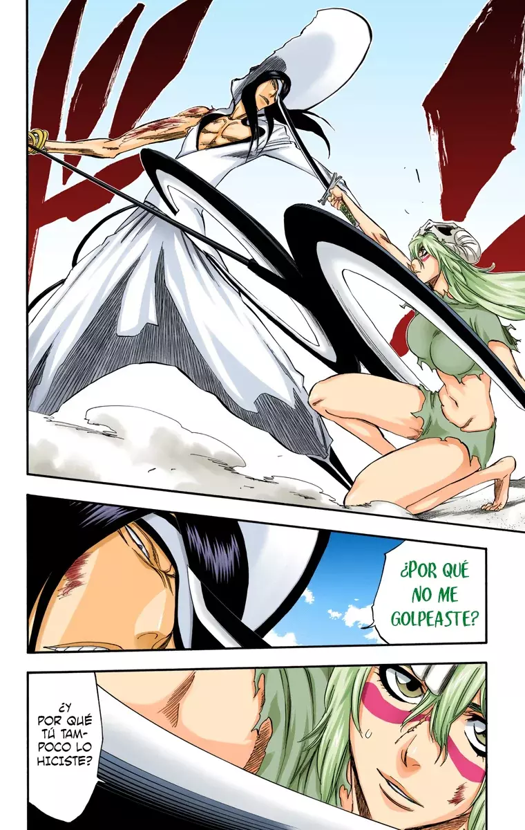 Bleach (Color) capítulo 293, página 21