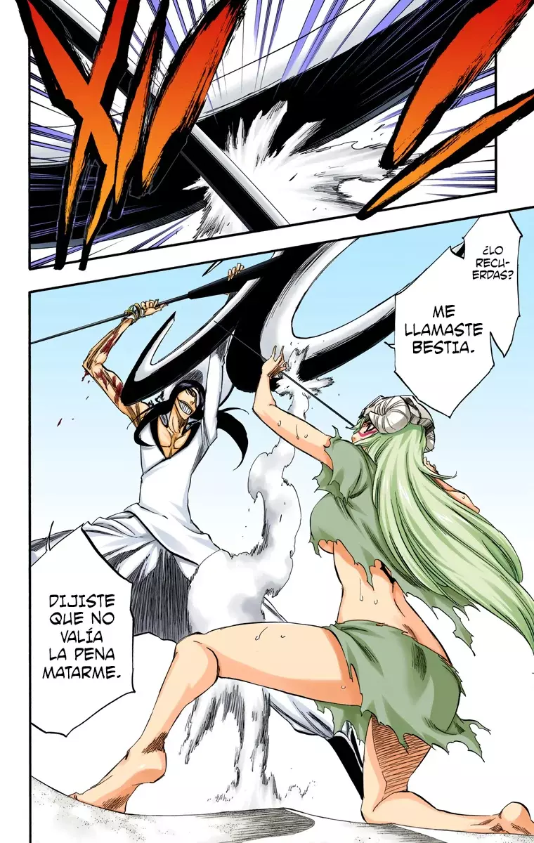 Bleach (Color) capítulo 294, página 11