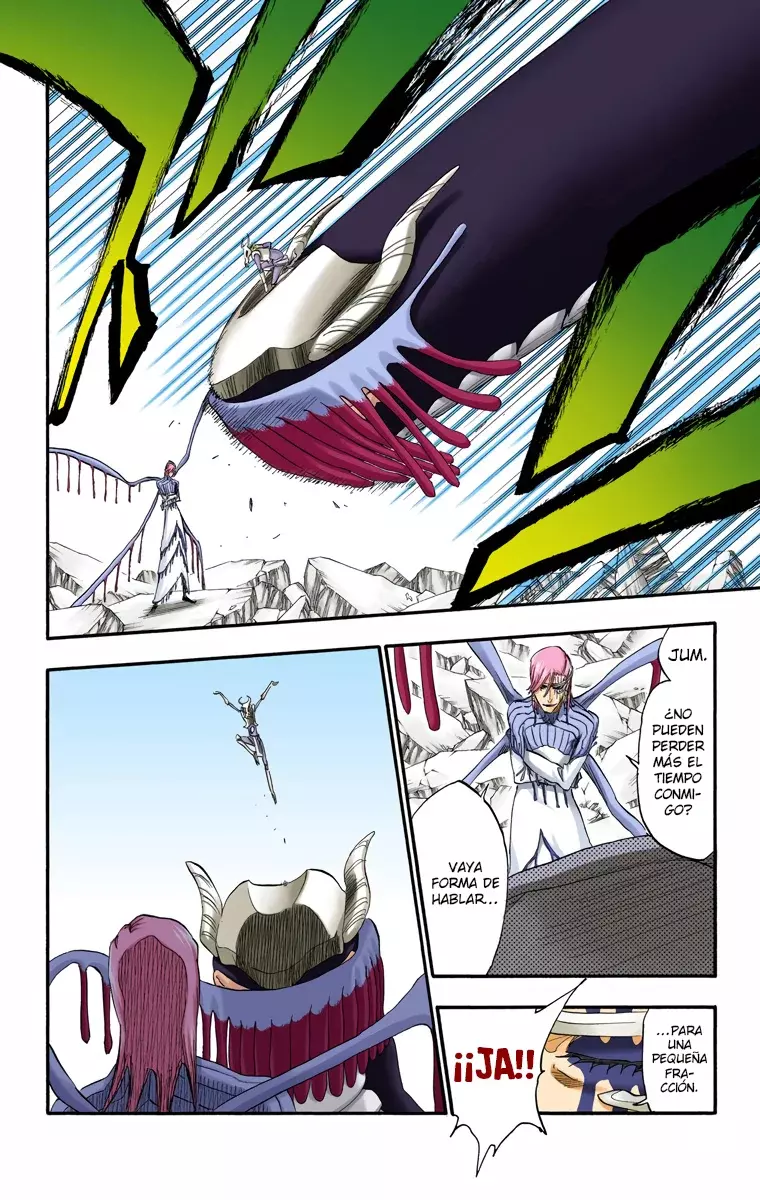 Bleach (Color) capítulo 296, página 14