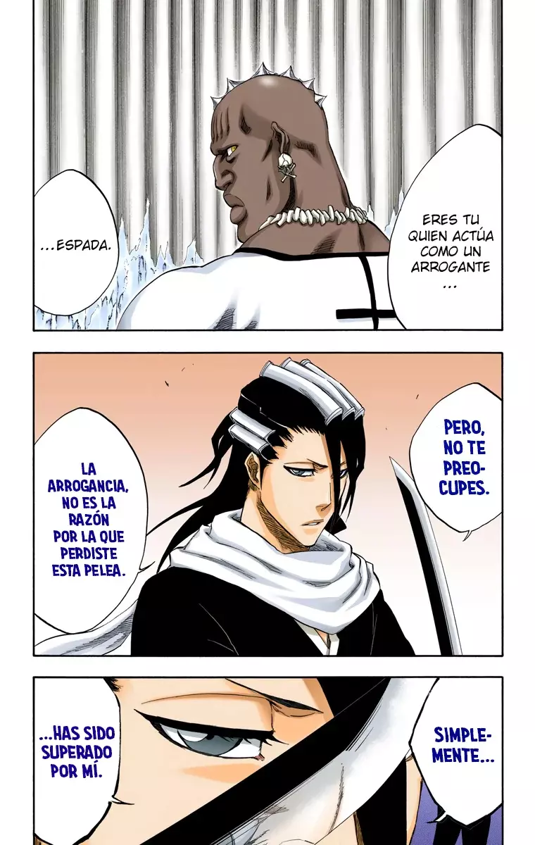 Bleach (Color) capítulo 299, página 19