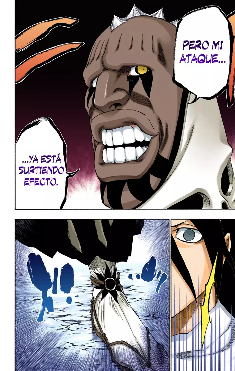 Bleach (Color) capítulo 300, página 12
