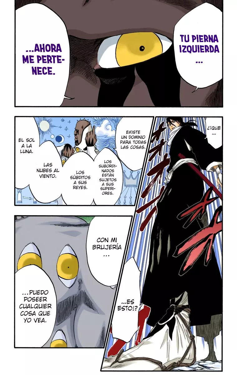 Bleach (Color) capítulo 300, página 13