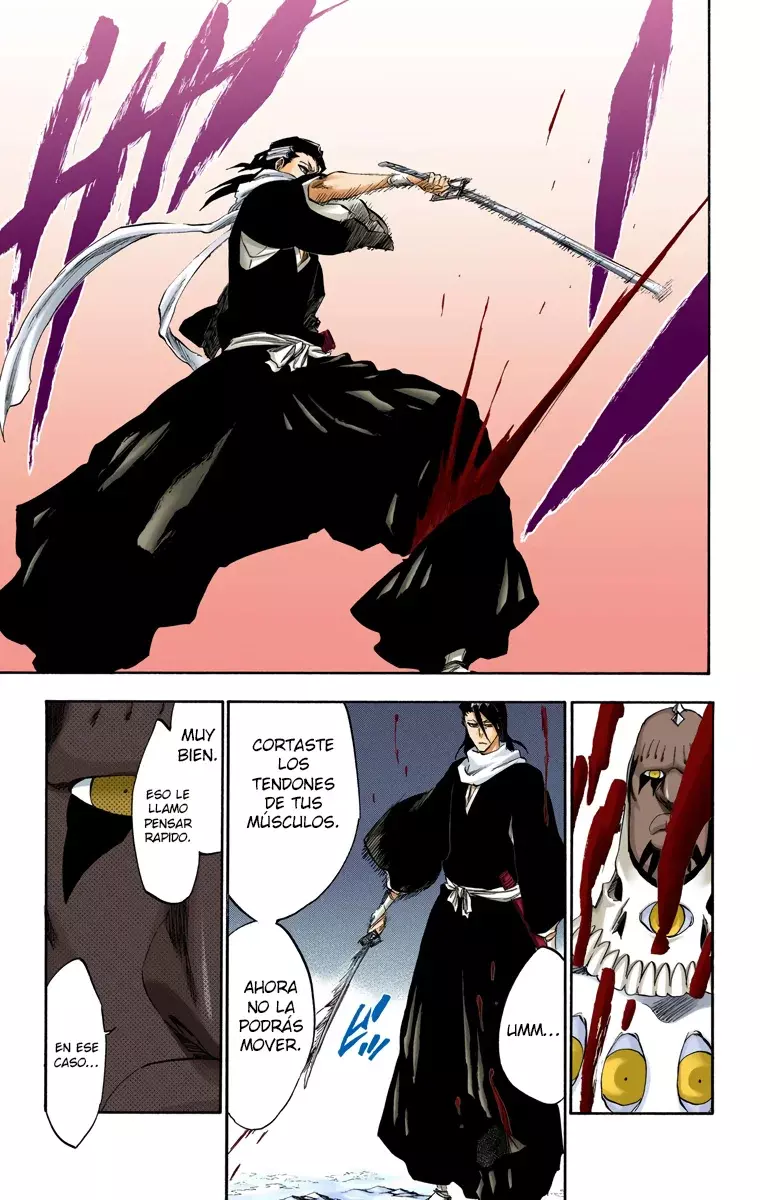 Bleach (Color) capítulo 300, página 15