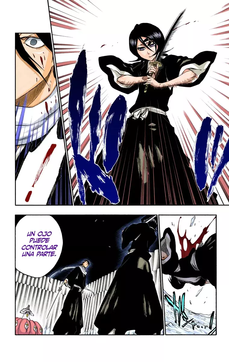 Bleach (Color) capítulo 301, página 14