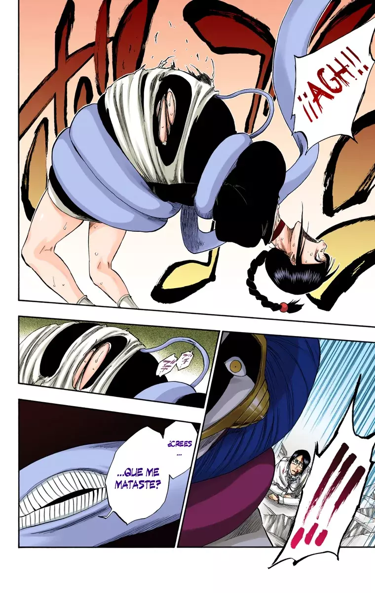 Bleach (Color) capítulo 304, página 16