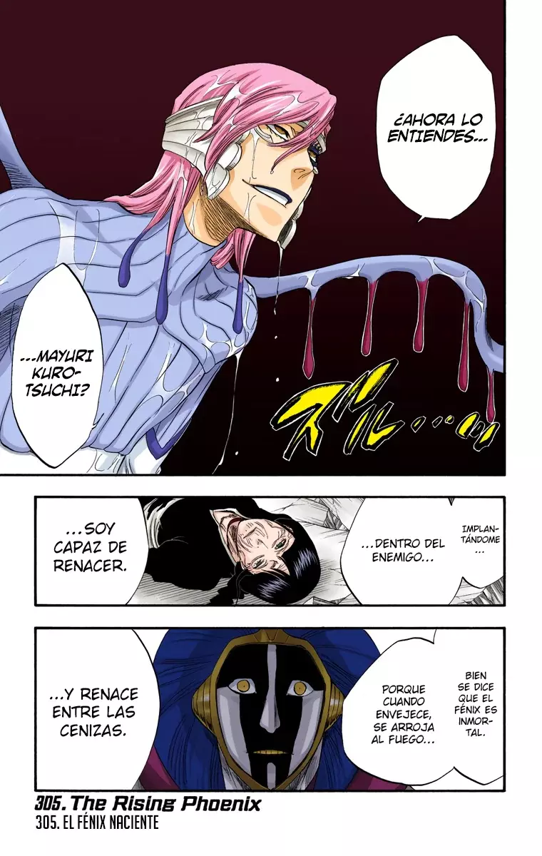 Bleach (Color) capítulo 305, página 2