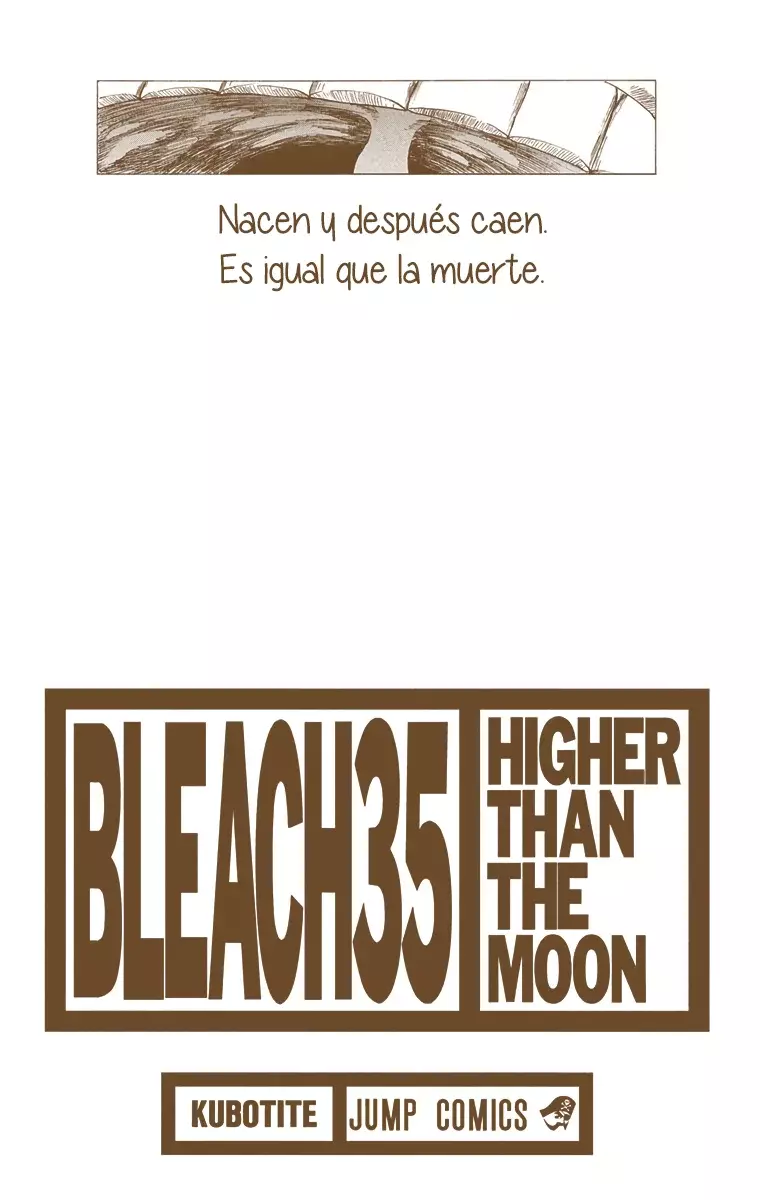 Bleach (Color) capítulo 306, página 3