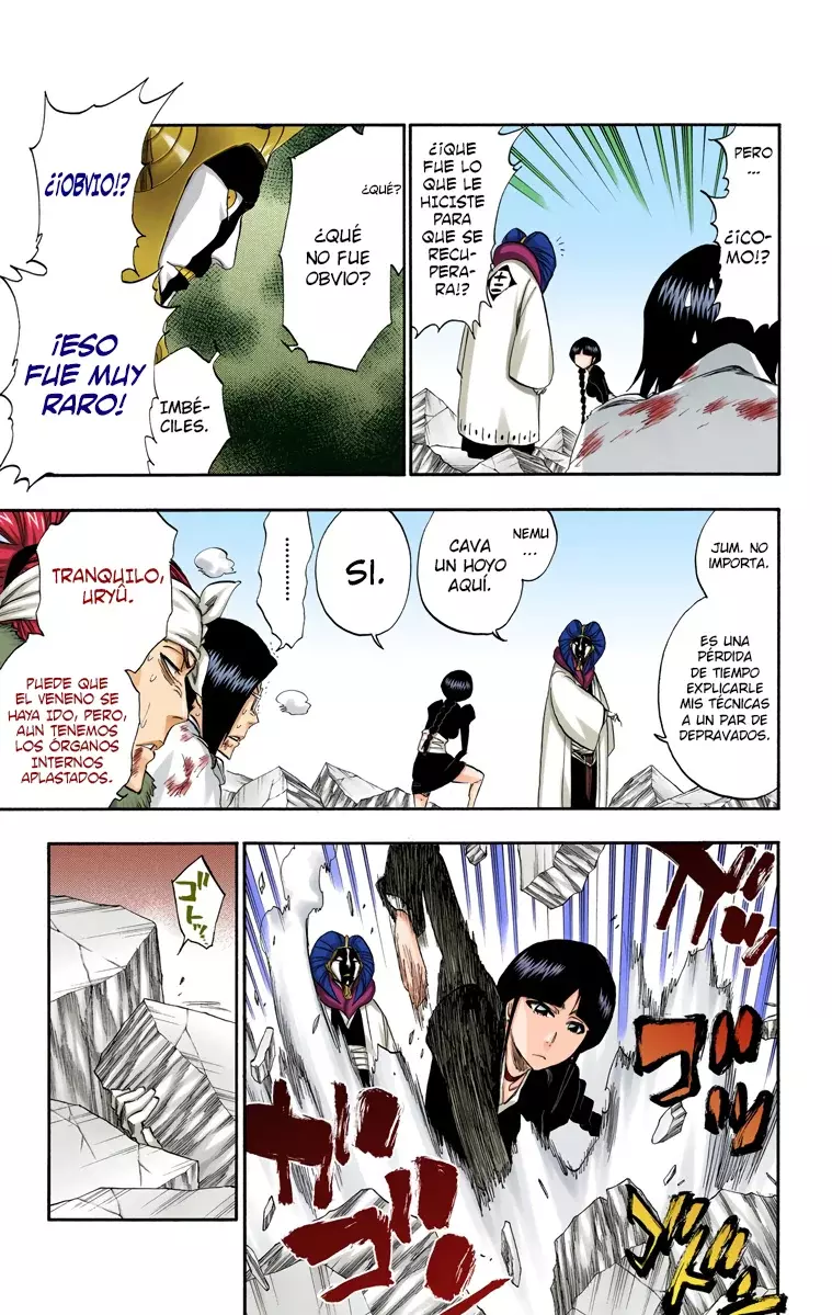 Bleach (Color) capítulo 306, página 16