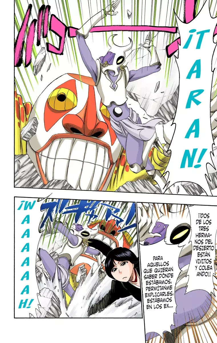 Bleach (Color) capítulo 306, página 17