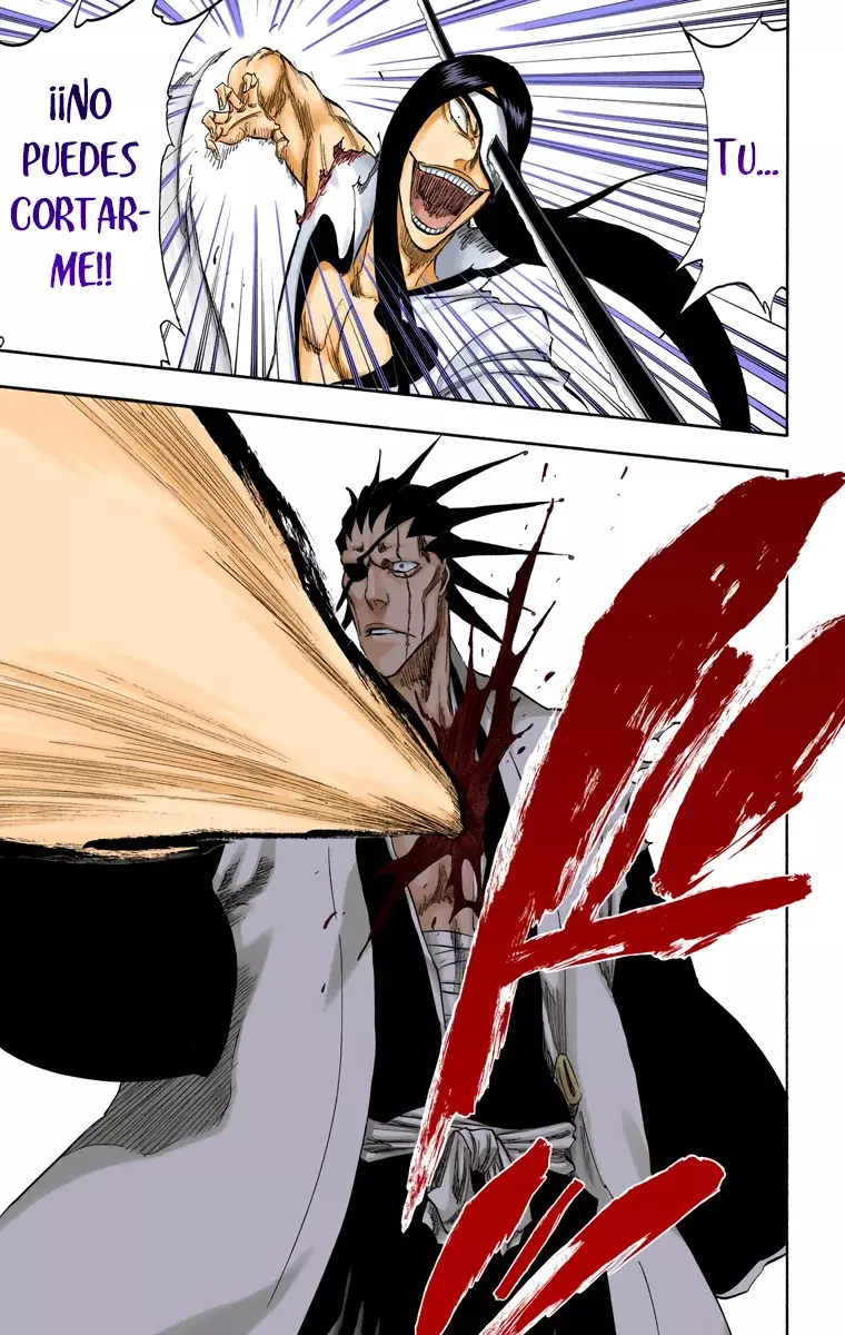 Bleach (Color) capítulo 307, página 18