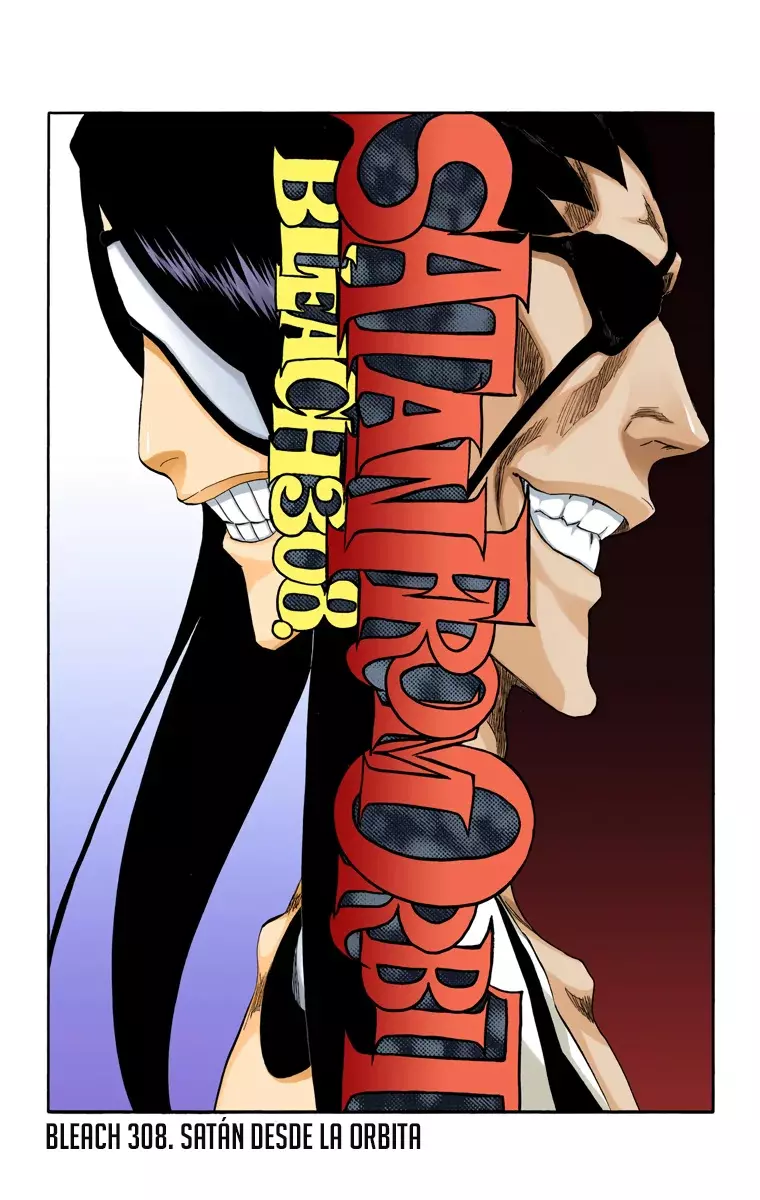 Bleach (Color) capítulo 308, página 8