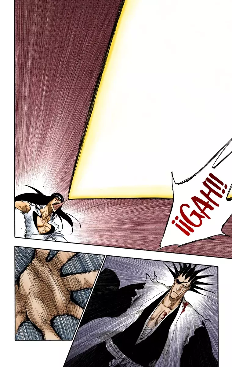 Bleach (Color) capítulo 308, página 17
